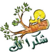 البوم عمرو دياب - بناديك تعالي 2011 1170487347